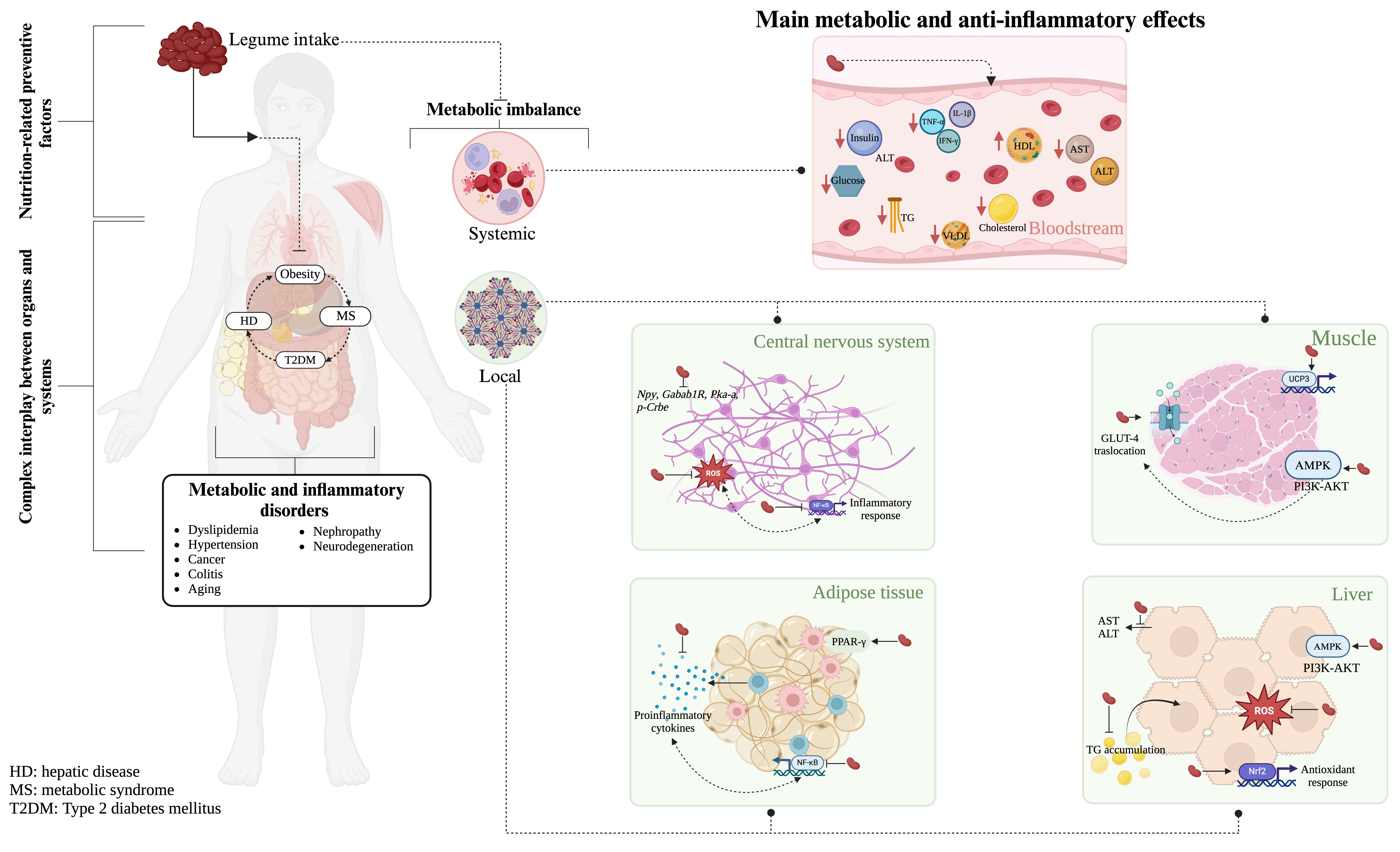Graphical-abstract